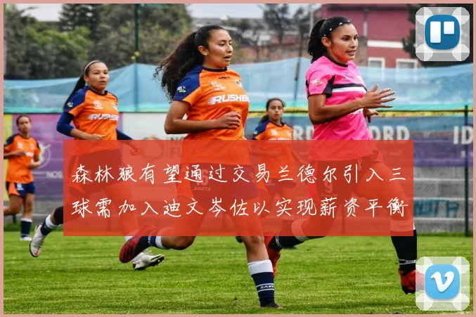 森林狼有望通过交易兰德尔引入三球需加入迪文岑佐以实现薪资平衡